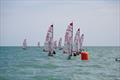Tasar Europeans 2026 at Hythe and Saltwood &copy; Jeremy Speakman