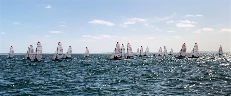 Victorian Tasar State Championships 2021 at McCrae Yacht Club photo copyright Maddi Crawshaw taken at McCrae Yacht Club and featuring the Tasar class