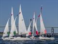 NYYC Global Team Race © Daniel Forster