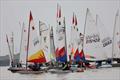 Blackwater Sailing Club Cadet Week © Anna Lau and James Torrance