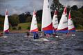 Junior open meeting (with Capture the Flag and Tug of War) at Starcross © Freya B