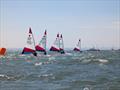 London and Southeast Topper Open at Whitstable Yacht Club © Steve Gray