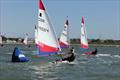 ITCA Rooster Topper Southern Area Traveller series at Hamble River  © Rob Klaschka