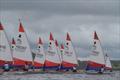 Topper Irish Nationals at Lough Erne © Stephen Carson