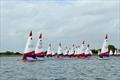 Fleet beating to windward - South East Topper series at Island Barn for the Tom Howard Trophy © Chloe Tollit