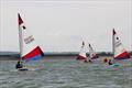 Emma Nettleship Regatta at Bough Beech © Sarah Seddon