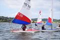 RS Tera and Topper open meeting at Starcross © Peter Solly