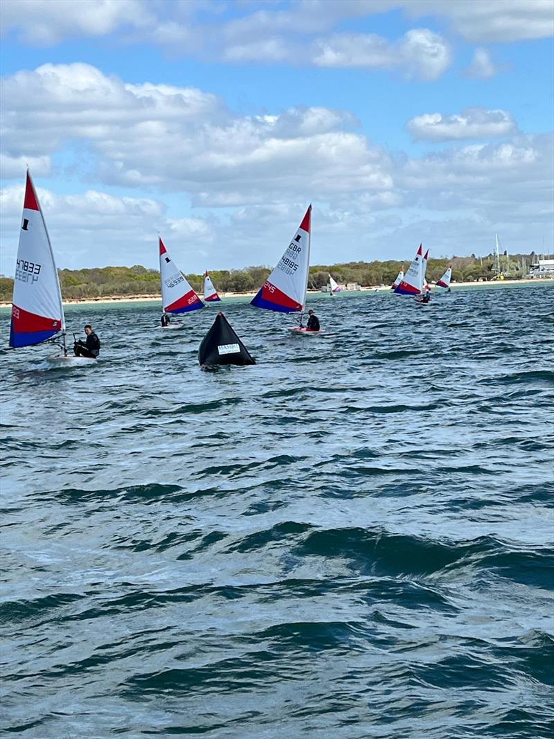 Rooster Southern Topper Traveller Series Event 1 at Hamble River photo copyright Shaun Murphy taken at Hamble River Sailing Club and featuring the Topper class