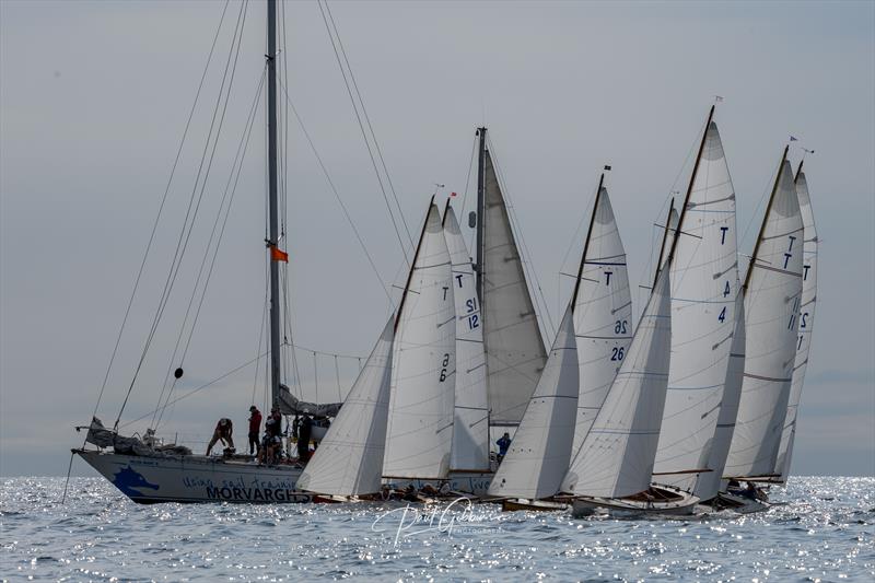 Fowey Royal Sailing Regatta 2025 - photo © Paul Gibbins Photography