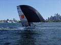 Sail Inc on the boil - 12flt Skiff Port Jackson Championship © 12 Foot Skiffs