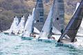 2024 NSW State Championship © Andrew Snell @sailorgirlhq