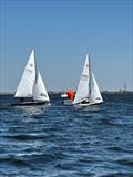 Wayfarer Open at Datchet Water © DWSC