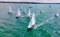Racing off the start - Wayfarer Southern Area Championships at Whitstable © Ayan Videography