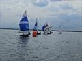 Finish of race six during the Wayfarer Eastern Championship at Blackwater Sailing Club &copy; Ian Rumble