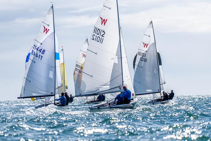 Wayfarer Nationals 2024 at Paignton - photo © Tom Wild