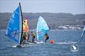 Vaikobi Windsurfer Class Australian National Championships day 4 © Shane Baker