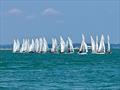 Cowes Week day 7 © Mags Norris