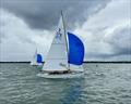 XOD Jardine Trophy at Lymington © Mags Norris