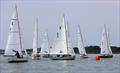XOD racing at Lymington on Saturday © Mark Jardine