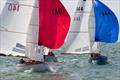 XOD fleet on Day 7 of Cowes Week 2025 © Martin Augustus / www.sailingimages.co.uk