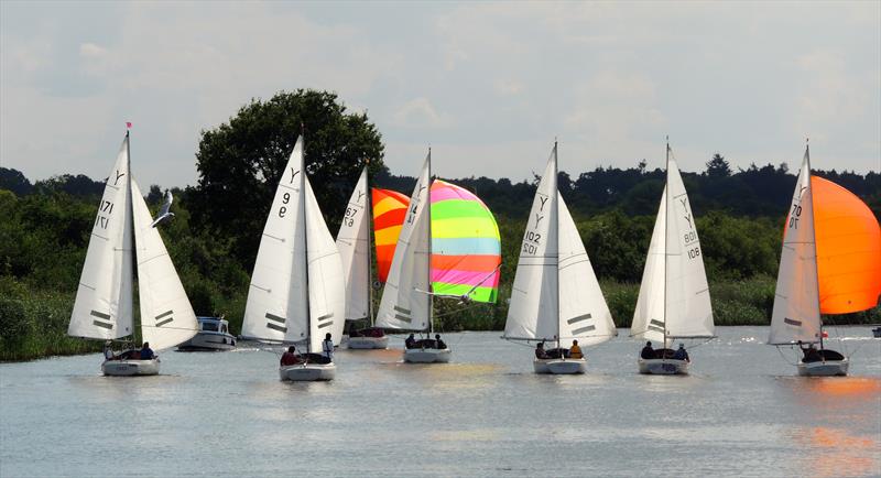 Horning Sailing Club Regatta Week photo copyright Holly Hancock taken at Horning Sailing Club and featuring the Yeoman/Kinsman class