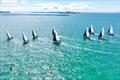 Drone shot of the fleet - 2023 North Sails Young 88 Owners Championship © LiveSailDie