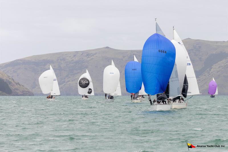 North Sails Southern Young 88 Nationals - Akaroa Harbour, New Zealand - photo © Alister Winter