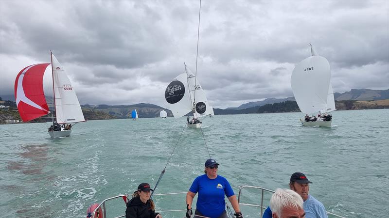 Young 88 South Island Championships - March 2023 - photo © Young 88 Assoc